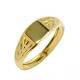 Anel em ouro amarelo 18k - ABC