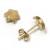 Brinco em ouro amarelo 18k - Estrela jateada