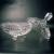 Bomboni�re de cristal Polon�s Violetta de 20 cm