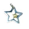 Pingente de a�o inox e ouro amarelo 18k - Estrela