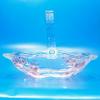 Cesta de frutas em cristal - Al�a de acr�lico