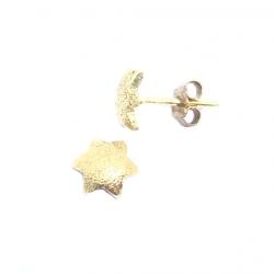 Brinco de ouro amarelo 18k - Estrela - 2BRO0486