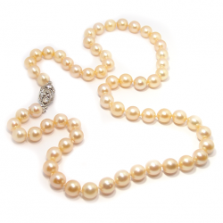 Colar de Prolas - Feminino - com fecho em ouro branco 18k - 2CLP0008