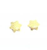 Brinco de ouro amarelo 18k - Estrela - 2BRO0486