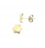 Brinco de ouro amarelo 18k - Estrela - 2BRO0486