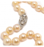 Colar de Prolas - Feminino - com fecho em ouro branco 18k - 2CLP0008