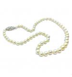 Colar de Prolas - Feminino - com fecho em ouro branco 18k - 2CLP0020